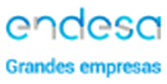 Endesa Grandes Empresas